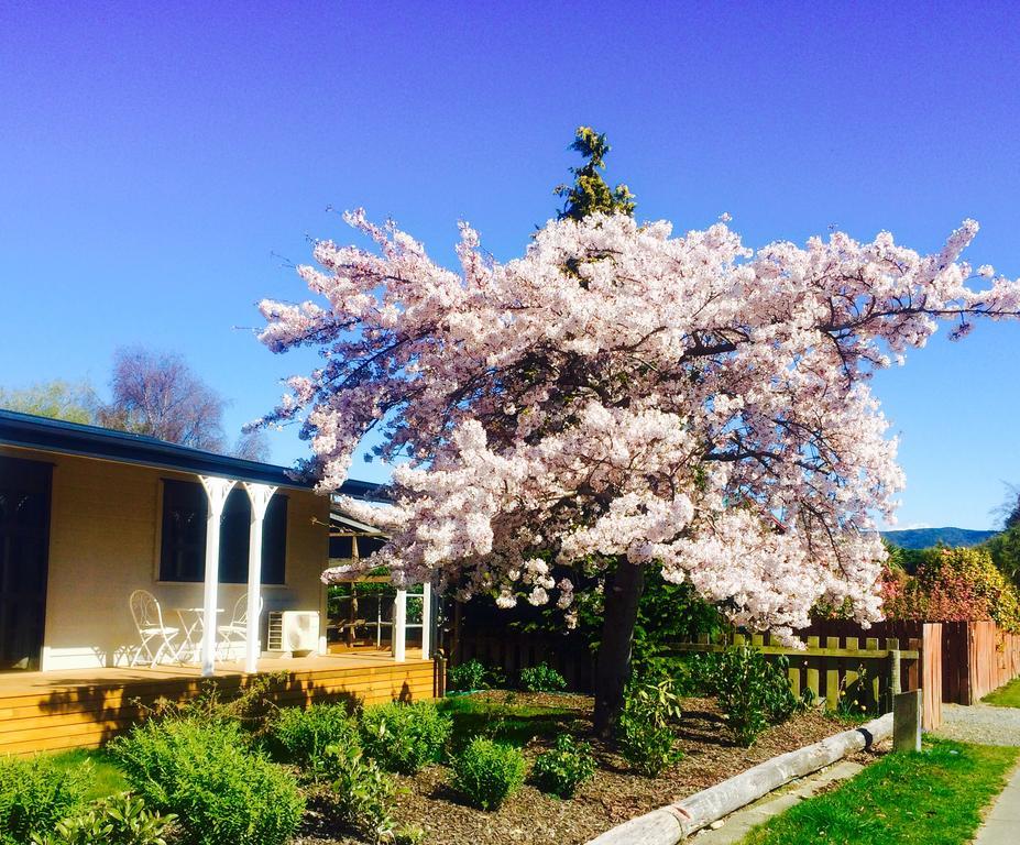 Milford Road Apartments Te Anau Zewnętrze zdjęcie